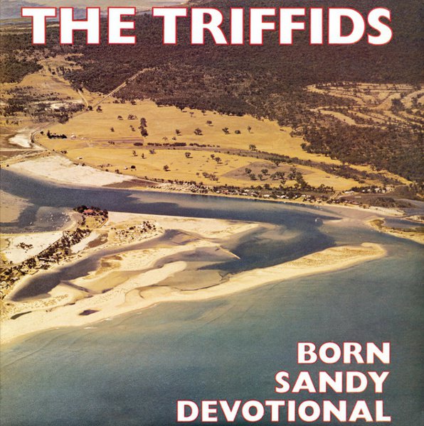 Born Sandy Devotional cover