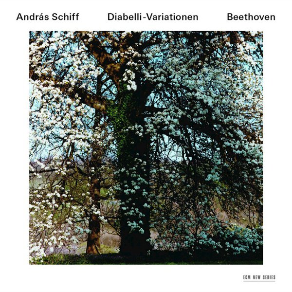 Beethoven: Diabelli-Variationen album cover