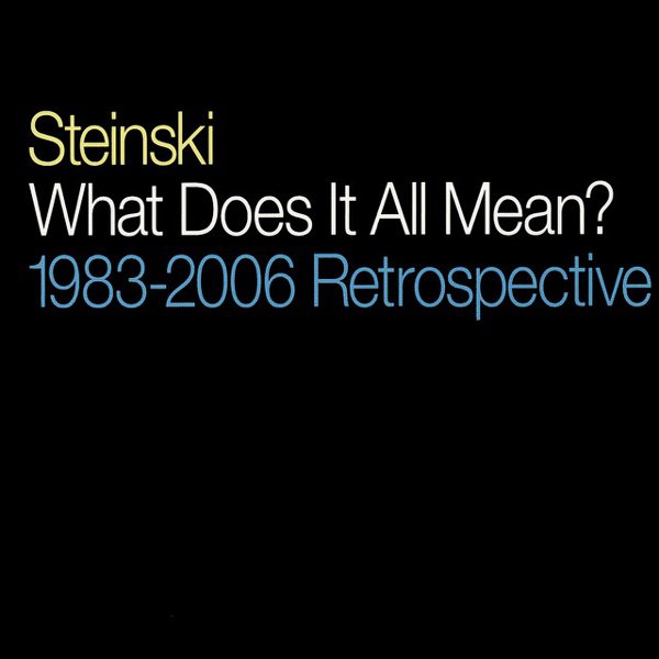 What Does It All Mean? 1983-2006 Retrospective cover
