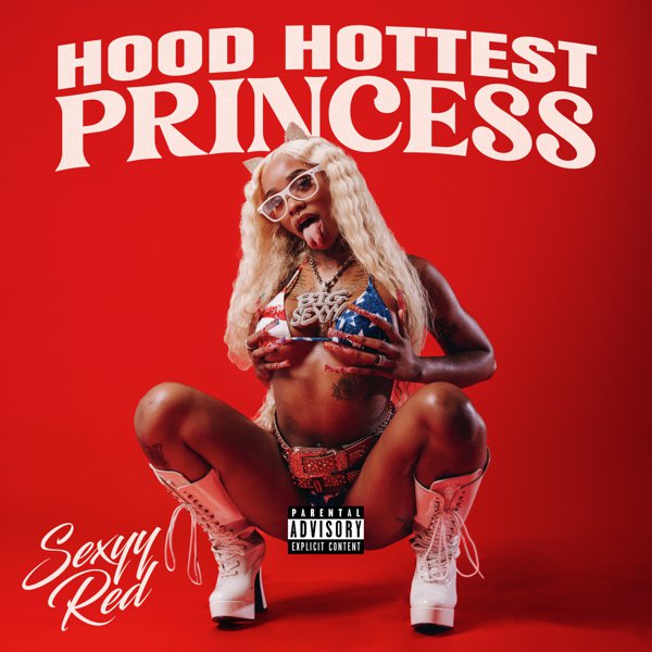 Hood Hottest Princess cover