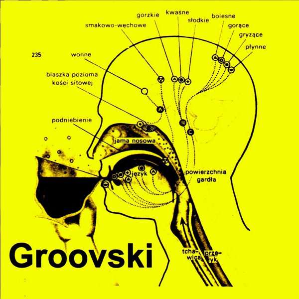 Groovski cover