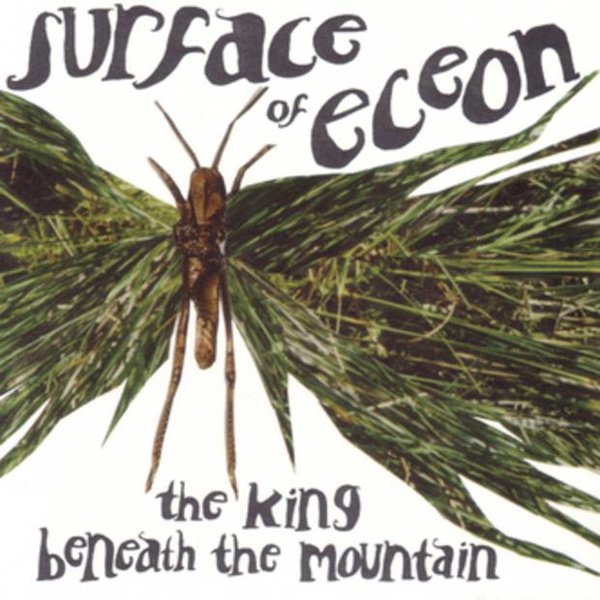 The King Beneath the Mountain cover