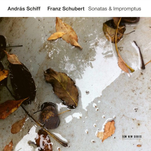 Franz Schubert: Sonatas & Impromptus cover