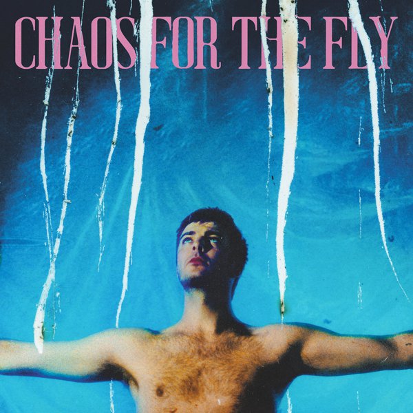 Chaos for the Fly cover