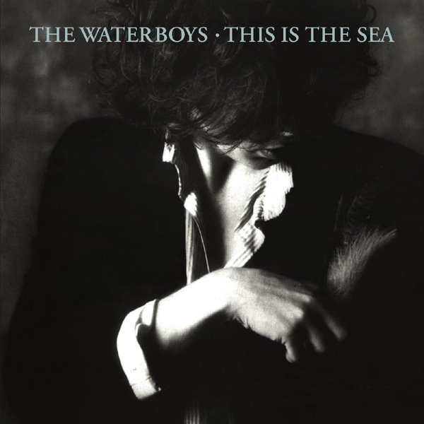 This Is The Sea cover