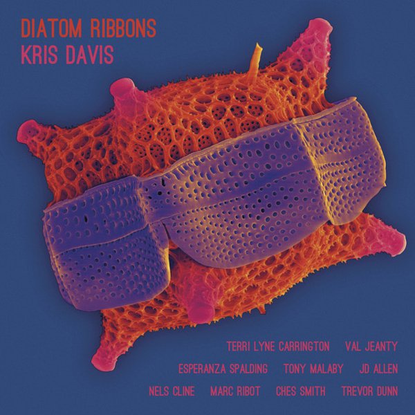 Diatom Ribbons cover