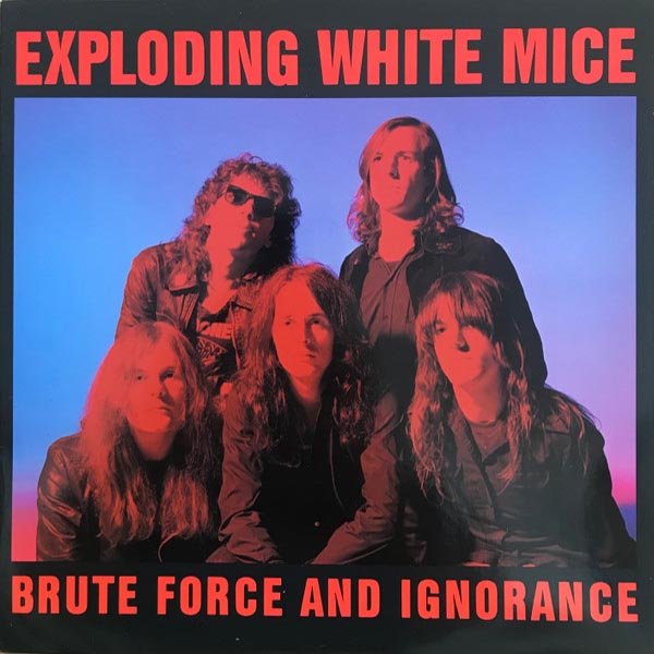 Brute Force and Ignorance cover