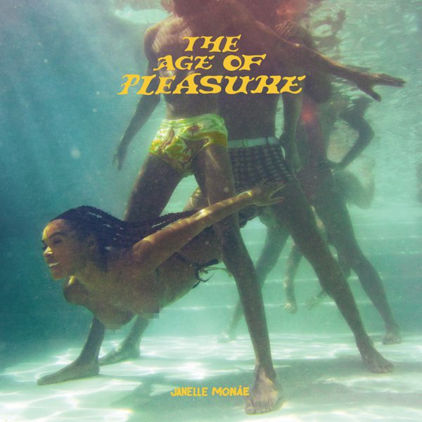 The Age of Pleasure cover