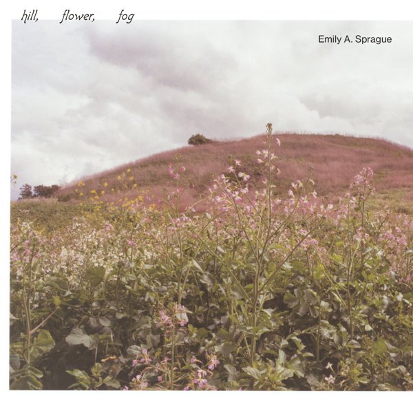Hill, Flower, Fog album cover