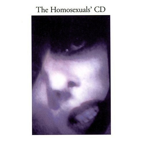 The Homosexuals’ Record album cover