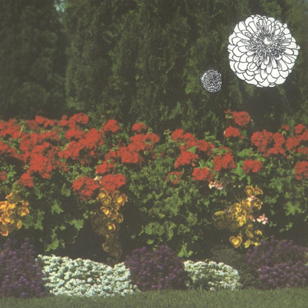 Annual Flowers in Color cover