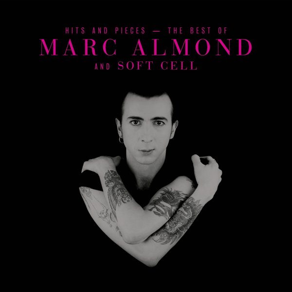 Hits and Pieces: The Best of Marc Almond & Soft Cell cover
