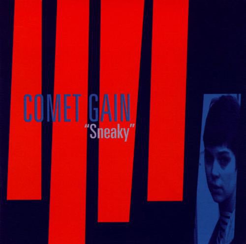 Sneaky cover
