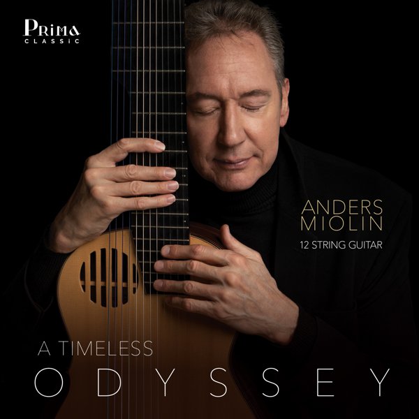 A Timeless Odyssey album cover