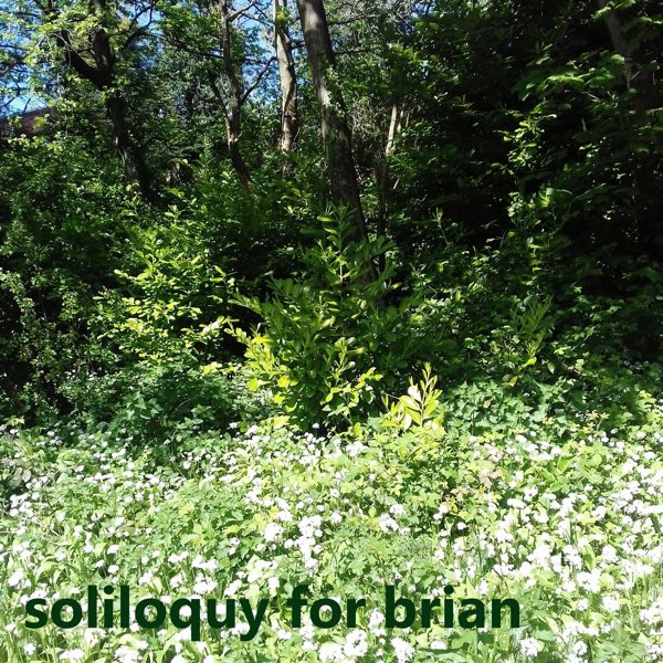 soliloquy for brian album cover