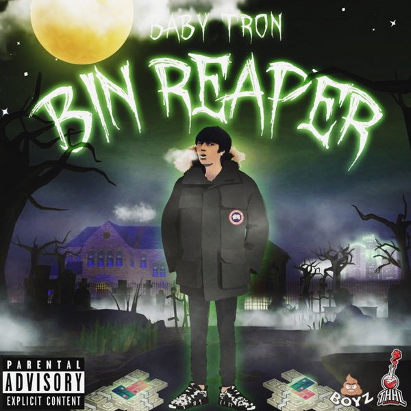 Bin Reaper album cover