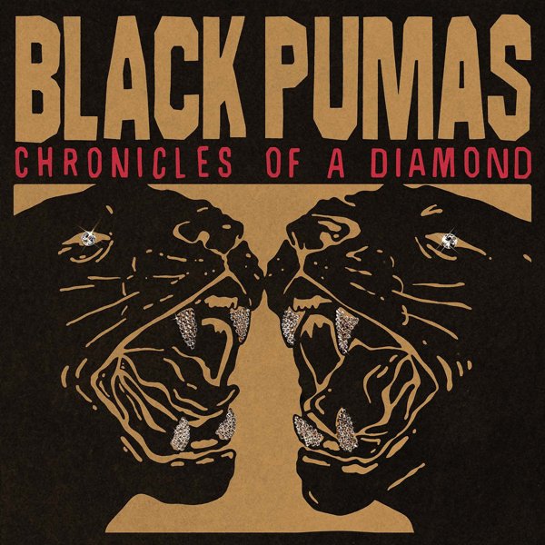 Chronicles of a Diamond cover