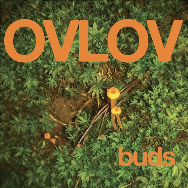 buds cover