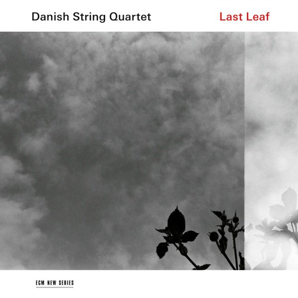 Last Leaf cover