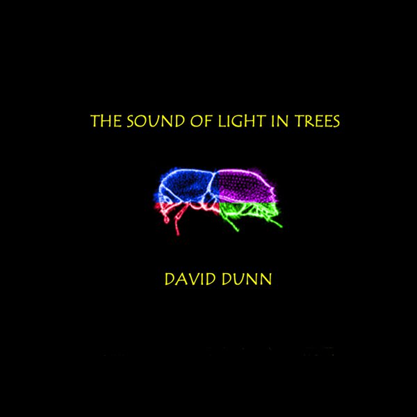 The Sound of Light in Trees cover