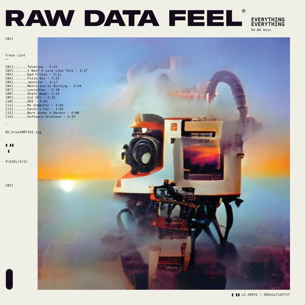 Raw Data Feel cover