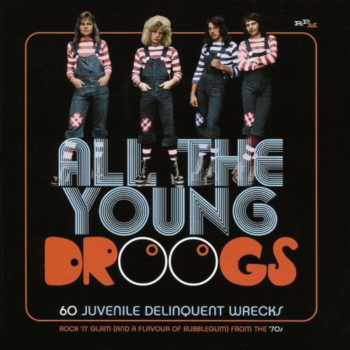 All the Young Droogs: 60 Juvenile Delinquent Wrecks, Rock ’N’ Glam (And a Flavour of Bubblegum) from the 70’s album cover