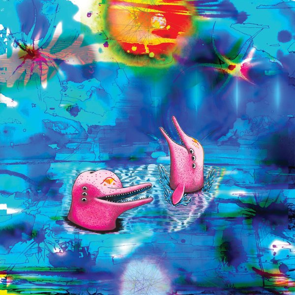 Pink Dolphins cover