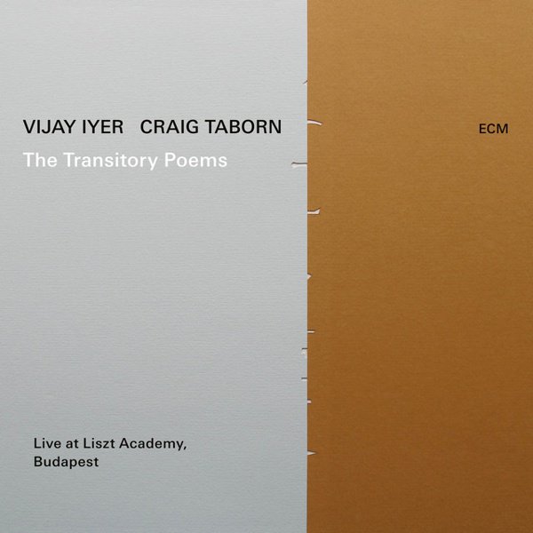 The  Transitory Poems cover