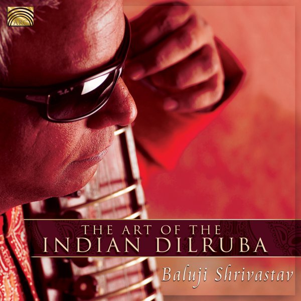The Art Of The Indian Dilruba cover