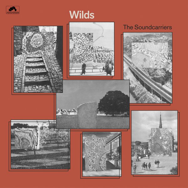 Wilds cover