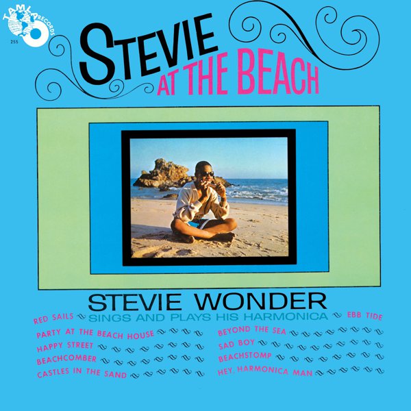 Stevie at the Beach cover