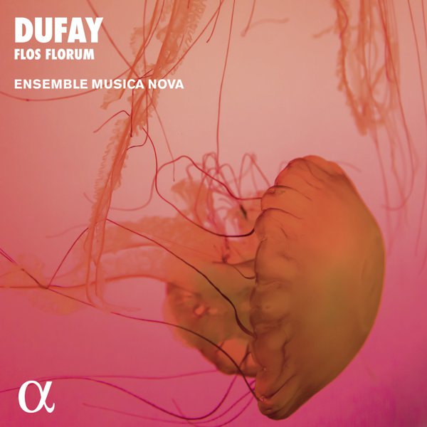 Dufay: Flos Florum cover