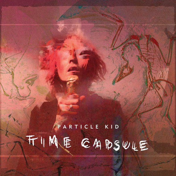 Time Capsule cover