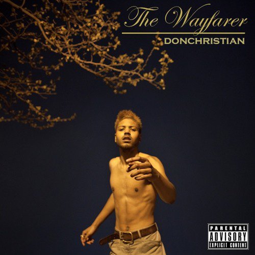 The Wayfarer cover
