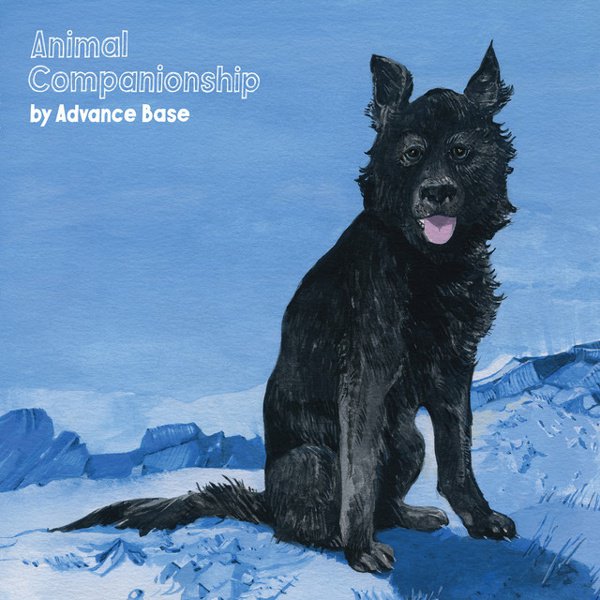 Animal Companionship album cover