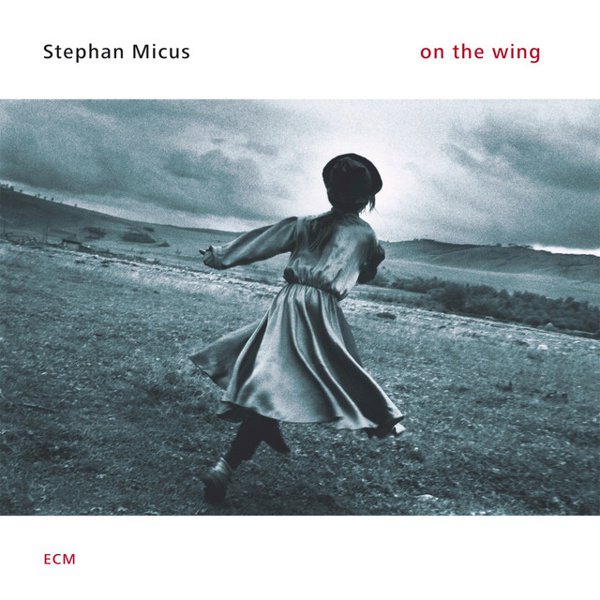 On The Wing album cover