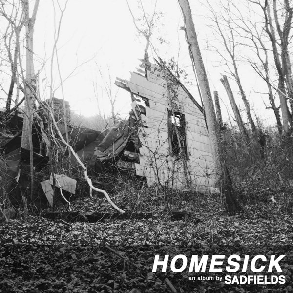 Homesick cover