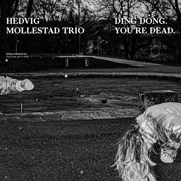 Ding Dong. You're Dead. album cover