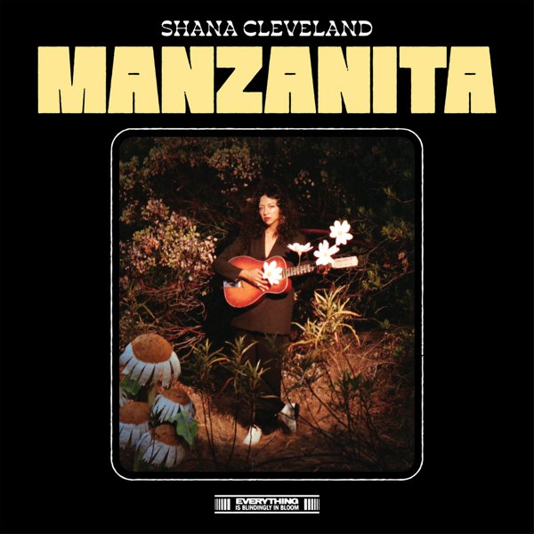 Manzanita cover