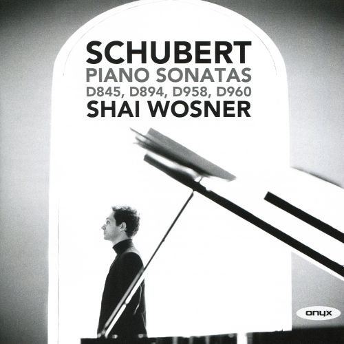 Schubert: Piano Sonatas D845, D894, D958 & D960 cover