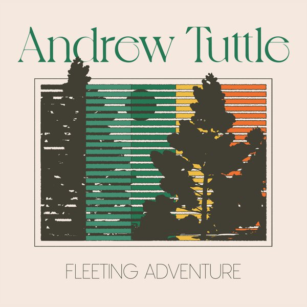 Fleeting Adventure cover