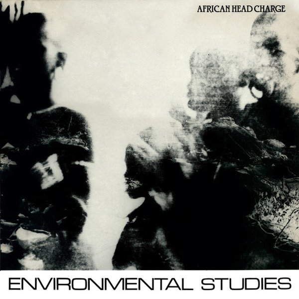 Environmental Studies album cover