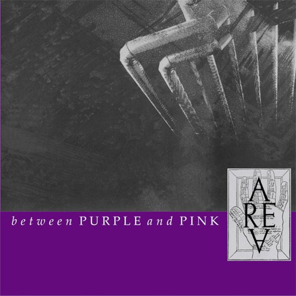 Between Purple and Pink cover