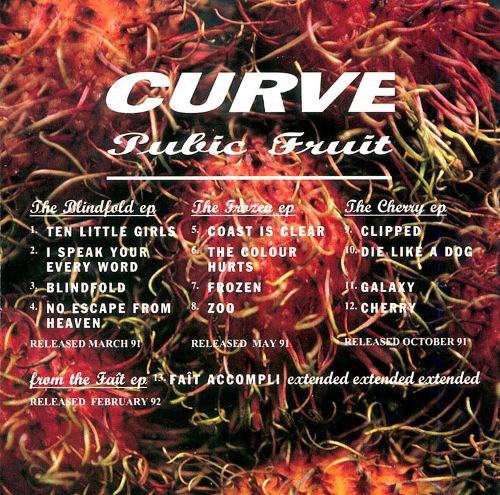 Pubic Fruit album cover
