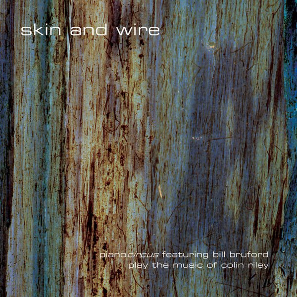 Skin and Wire album cover