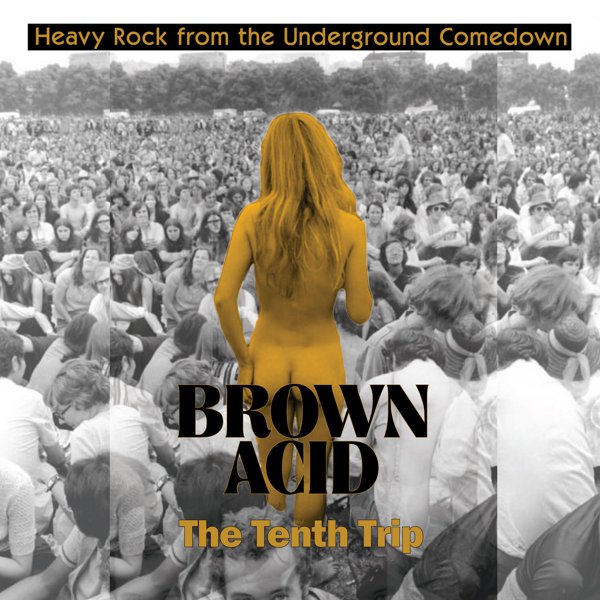 Brown Acid - The Tenth Trip cover
