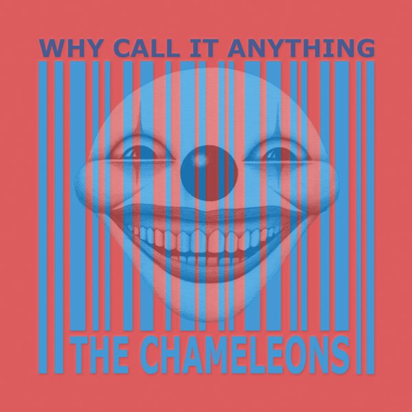 Why Call It Anything cover