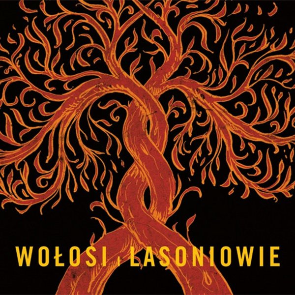 Wołosi i Lasoniowie album cover