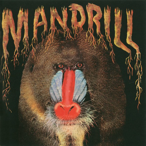 Mandrill album cover