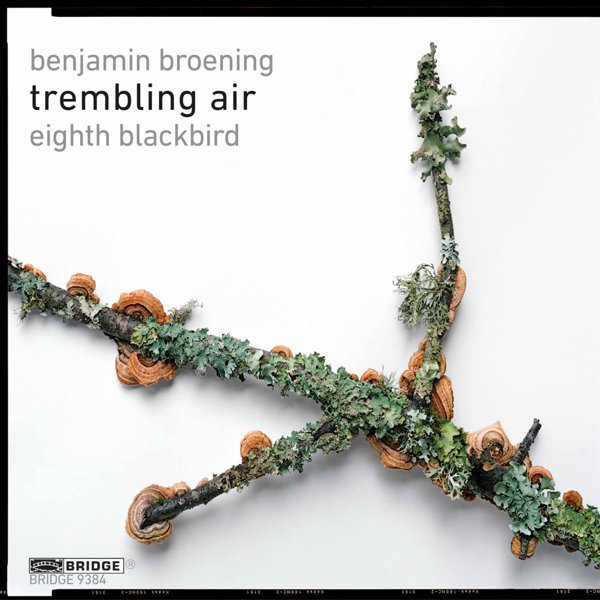 Trembling Air cover